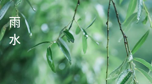 雨水時節 | 迎一場春雨,等一片花開【杭州易造】