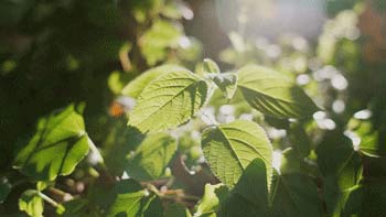 三八婦女節(jié)丨祝所有女神:愿你笑靨如花,一生不減芳華-杭州易造