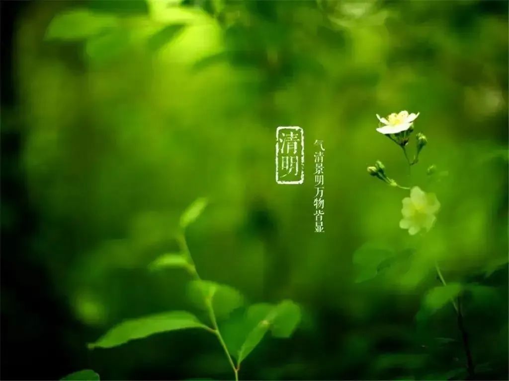 清明節(jié)——清明時(shí)節(jié)雨紛紛，路上行人欲斷魂