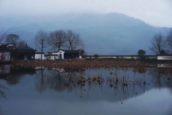 小寒-白日隱寒樹，野色籠寒霧